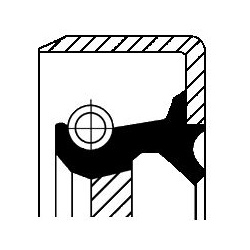 Riebokšlis dėžės pirminio veleno
                                CORTECO                                                1