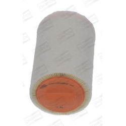 Filtras oro
                                CHAMPION                                CAF101066R, CHAMPION, CAF101066R, auto de