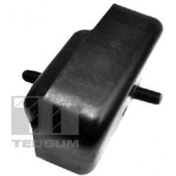 variklio montavimas
                                TEDGUM                                                00651898, TEDGUM, 0