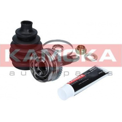 pusašio šarnyras
                                KAMOKA                                                6085, KAMOKA, 6085, 