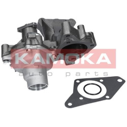 Vandens siurblys, variklio aušinimas
                                KAMOKA                                                T