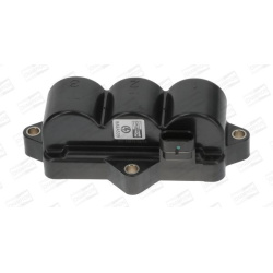 ritė, uždegimas
                                CHAMPION                                                BAEA539, CHAMPION, 