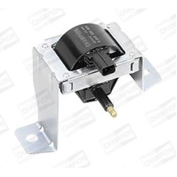 ritė, uždegimas
                                CHAMPION                                                BAEA469, CHAMPION, 