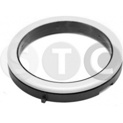 frikcinis guolis, pakabos statramsčio atramos montavimas
                                STC                                