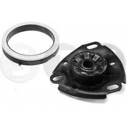 Amortizatoriaus atrama su guoliu
                                STC                                                T407017, 