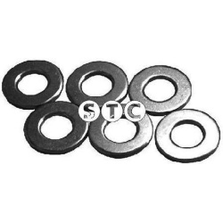 STC                                                T402051, STC, T402051, auto detalė