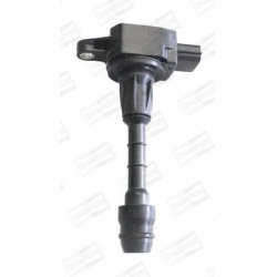 ritė, uždegimas
                                CHAMPION                                                BAEA188E, CHAMPION,