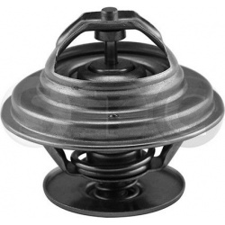 termostatas, aušinimo skystis
                                STC                                                T430298, ST