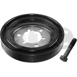 alkūninio veleno skriemulių rinkinys
                                STC                                                T41