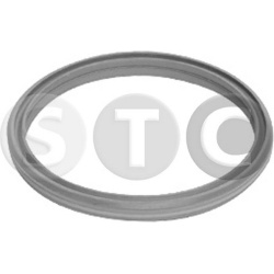 tarpiklis, užpildytuvas
                                STC                                                T498716, STC, T49