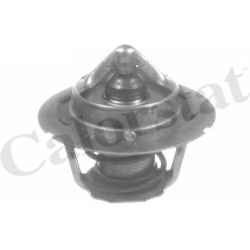 Termostatas
                                CALORSTAT by Vernet                                                TH6843.91J, CA