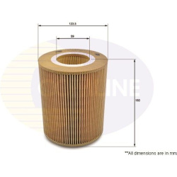 oro filtras
                                COMLINE                                EAF070, COMLINE, EAF070, auto detalė