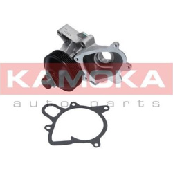 Vandens siurblys, variklio aušinimas
                                KAMOKA                                                T