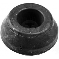 įvorė, lakštinė lingė
                                STC                                                T400476, STC, T