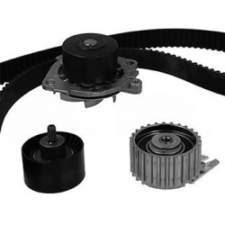 vandens siurblio ir paskirstymo diržo komplektas
METELLI