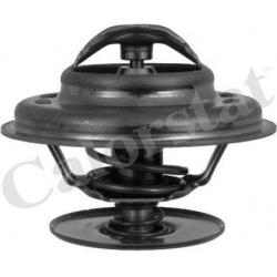 termostatas, aušinimo skystis
                                CALORSTAT by Vernet                                           