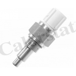 temperatūros jungiklis, radiatoriaus ventiliatorius
                                CALORSTAT by Vernet                     