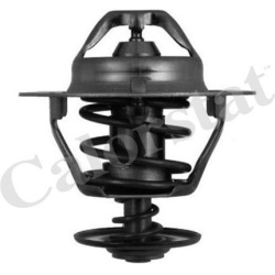 Termostatas
                                CALORSTAT by Vernet                                                TH6319.82J, CA