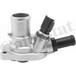 termostatas, aušinimo skystis
                                CALORSTAT by Vernet                                           