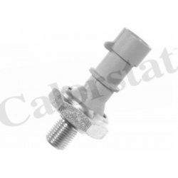 Daviklis tepalo slėgio lemputės
                                CALORSTAT by Vernet                                        