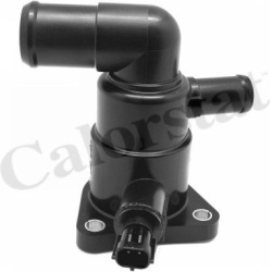 termostatas, aušinimo skystis
                                CALORSTAT by Vernet                                           