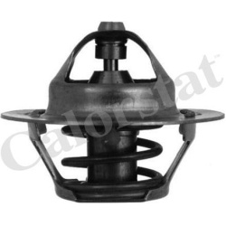 termostatas, aušinimo skystis
                                CALORSTAT by Vernet                                TH5075.82J,