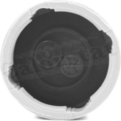 dangtelis, radiatorius
                                CALORSTAT by Vernet                                RC0039, CALORSTAT b