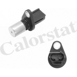 Daviklis alkūninio veleno padėties
                                CALORSTAT by Vernet                                CS014