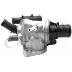 termostatas, aušinimo skystis
                                CALORSTAT by Vernet                                           