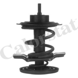 termostatas, aušinimo skystis
                                CALORSTAT by Vernet                                           