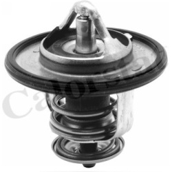 Termostatas
                                CALORSTAT by Vernet                                                TH6587.82J, CA