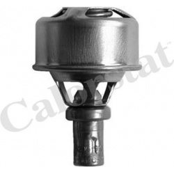 termostatas, aušinimo skystis
                                CALORSTAT by Vernet                                           