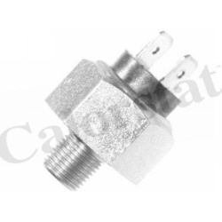 stabdžių žibinto jungiklis
                                CALORSTAT by Vernet                                            