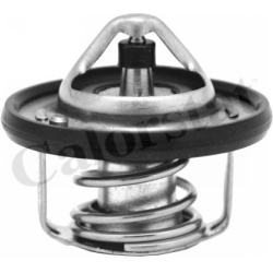 Termostatas
                                CALORSTAT by Vernet                                TH6949.82J, CALORSTAT by Verne