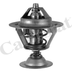 termostatas, aušinimo skystis
                                CALORSTAT by Vernet                                           