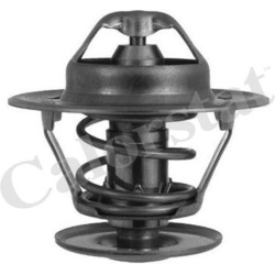 Termostatas
                                CALORSTAT by Vernet                                TH1335.92J, CALORSTAT by Verne