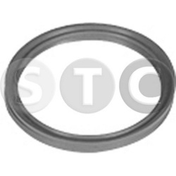tarpiklis, turbinos oro žarna
                                STC                                                T498720, ST
