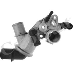 termostatas, aušinimo skystis
                                CALORSTAT by Vernet                                           