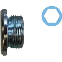 alyvos išleidimo kaištis, alyvos karteris
                                CORTECO                                220132S, C