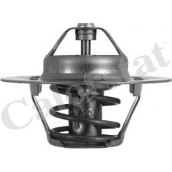 termostatas, aušinimo skystis
                                CALORSTAT by Vernet                                TH4608.88J,