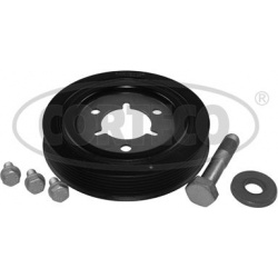 alkūninio veleno skriemulių rinkinys
                                CORTECO                                               