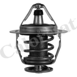 Termostatas
                                CALORSTAT by Vernet                                                TH6520.82J, CA