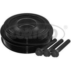 alkūninio veleno skriemulių rinkinys
                                CORTECO                                               