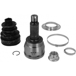 pusašio šarnyras
                                METELLI                                                15-1843, METELLI, 1