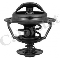 termostatas, aušinimo skystis
                                CALORSTAT by Vernet                                TH5353.83J,