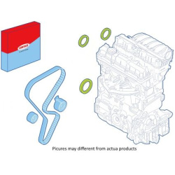 CORTECO                                                289066, CORTECO, 289066, auto detalė