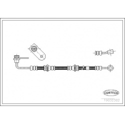 stabdžių žarnelė
                                CORTECO                                                19032382, CORTECO