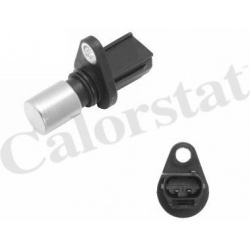 Daviklis alkūninio veleno padėties
                                CALORSTAT by Vernet                                     