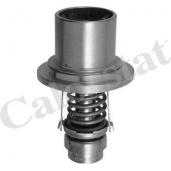 termostatas, aušinimo skystis
                                CALORSTAT by Vernet                                           