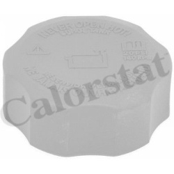 dangtelis, radiatorius
                                CALORSTAT by Vernet                                                RC0